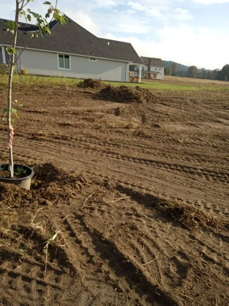 Local yard cleanup service with custom design in Kalama, WA by A&L Landscaping