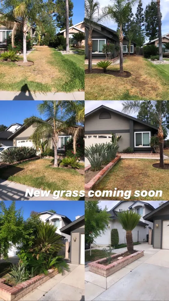 Local residential landscaping in Montclair, CA - A&L Landscaping