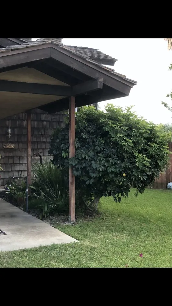 Local yard maintenance in Montclair, CA - A&L Landscaping