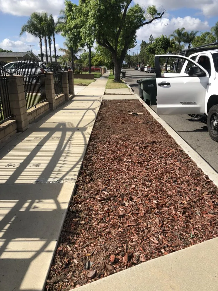 Local lawn care service for residential properties across Montclair, CA - A&L Landscaping