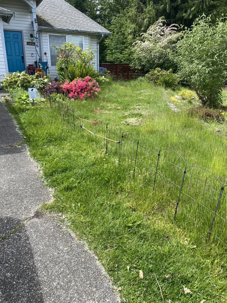 Custom yard maintenance with custom design in Puyallup, WA by AL Landscaping