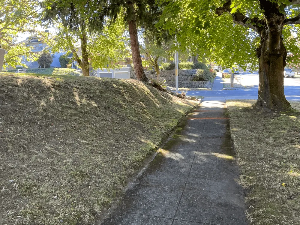 Expert landscaping services for year-round maintenance across Puyallup, WA - AL Landscaping