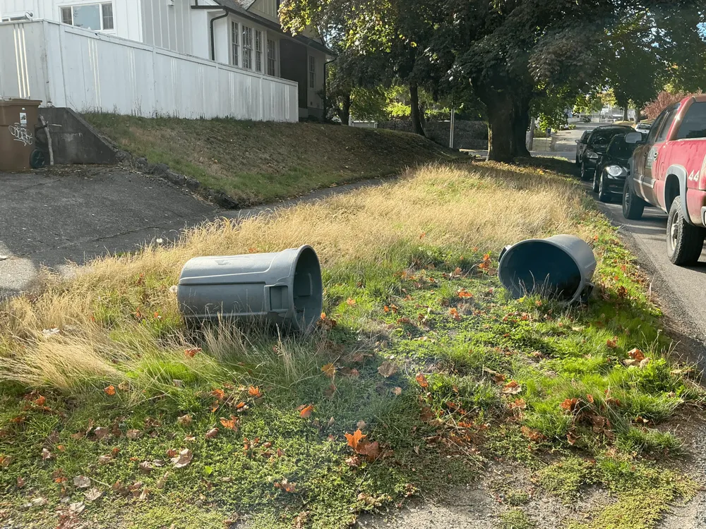 Trusted residential landscaping near you in Puyallup, WA by AL Landscaping