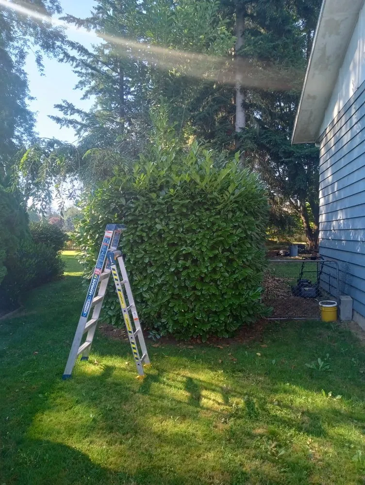 Expert landscape design experts serving Monroe, WA - A&L Landscaping Services