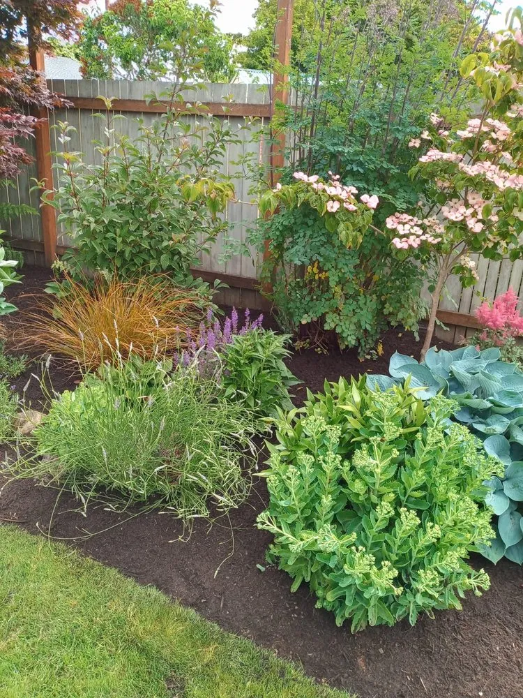Affordable landscaping services experts serving Monroe, WA - A&L Landscaping Services
