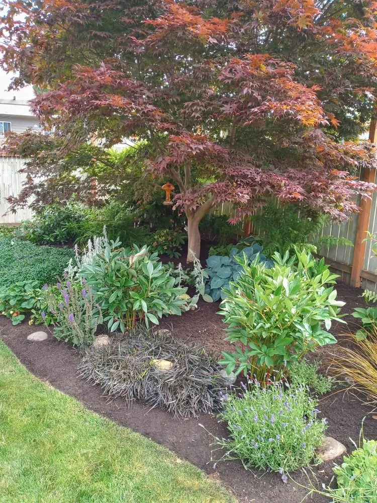 Custom landscaping services for residential properties in Monroe, WA by A&L Landscaping Services