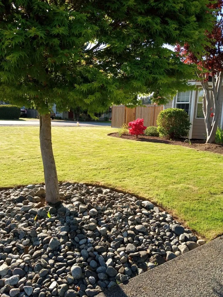 Reliable yard cleanup service in Monroe, WA by A&L Landscaping Services