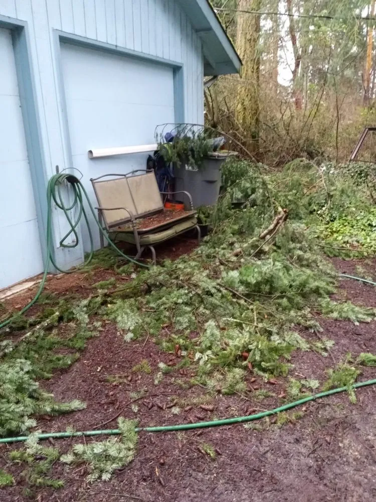 Affordable lawn care service for year-round maintenance across Monroe, WA - A&L Landscaping Services