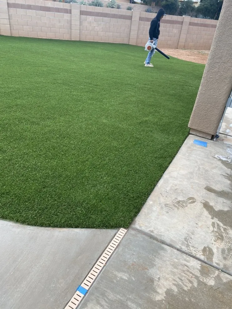 Expert yard cleanup service for homes in Sierra Vista, AZ by A&L Landscaping