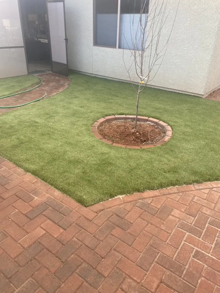 Professional yard cleanup service in Sierra Vista, AZ by A&L Landscaping