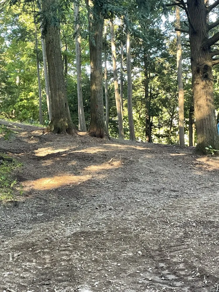 Reliable residential landscaping for beautiful yards across Millville, PA - A&L Lawn and Landscaping