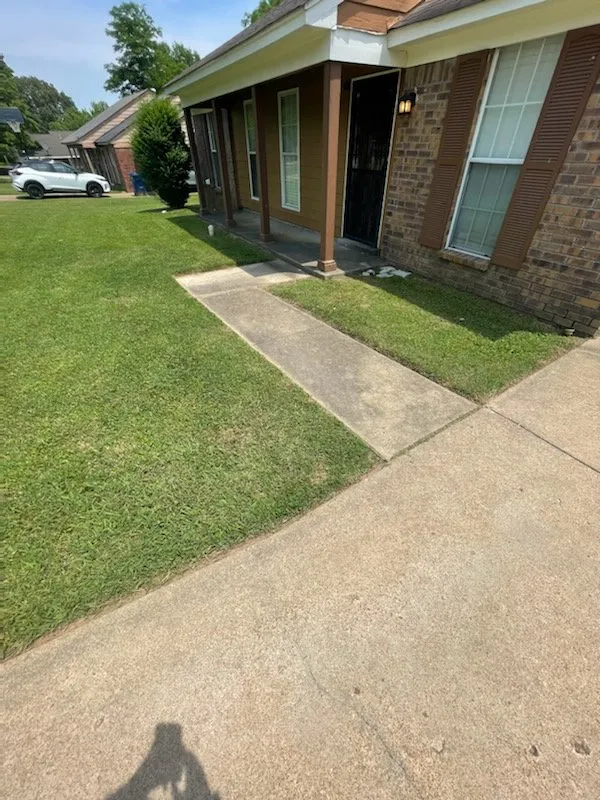 Reliable lawn care service in Coldwater, MS by AL LawnCare