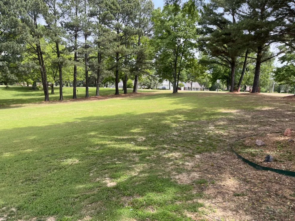 Expert landscaping services experts serving Coldwater, MS - AL LawnCare