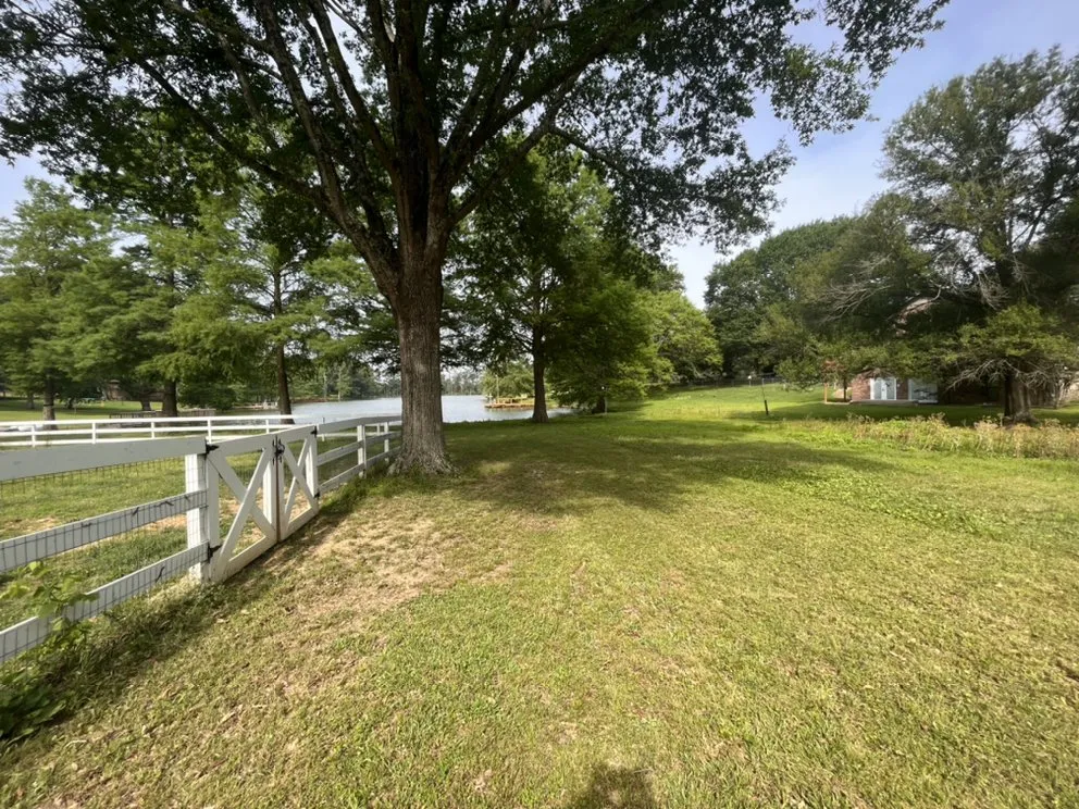 Professional yard cleanup service experts serving Coldwater, MS - AL LawnCare