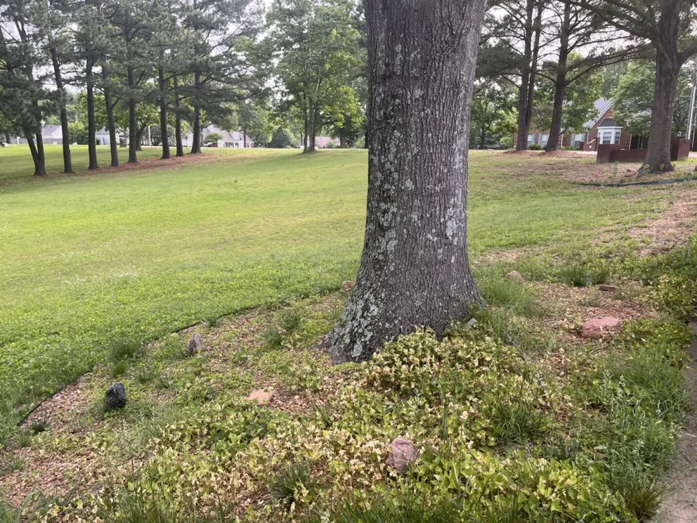 Custom garden landscaping in Coldwater, MS by AL LawnCare