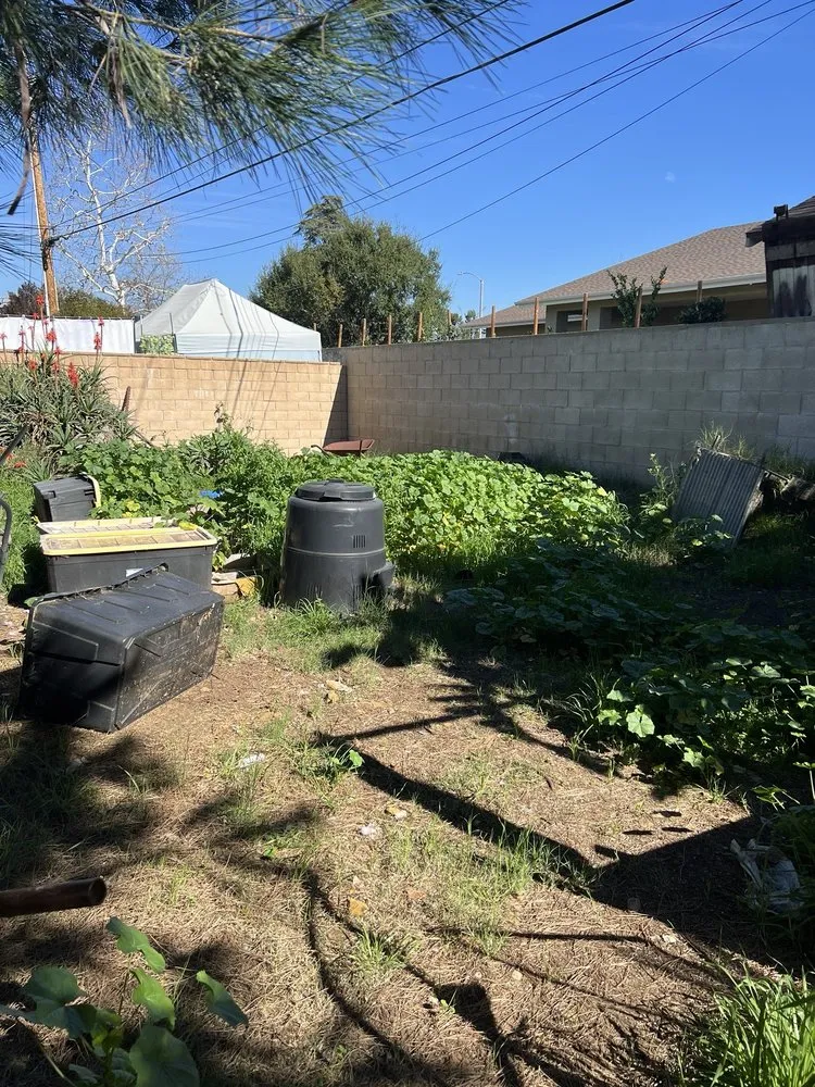 Affordable yard cleanup service for year-round maintenance in Covina, CA by AL Lopez Landscaping