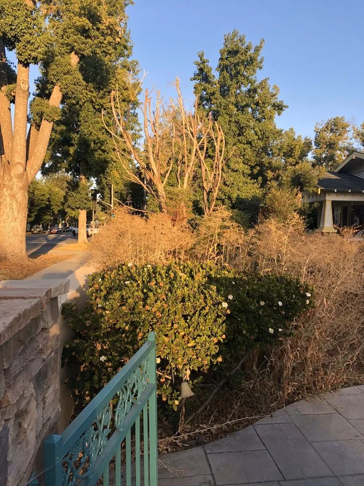 Local garden landscaping in Covina, CA - AL Lopez Landscaping