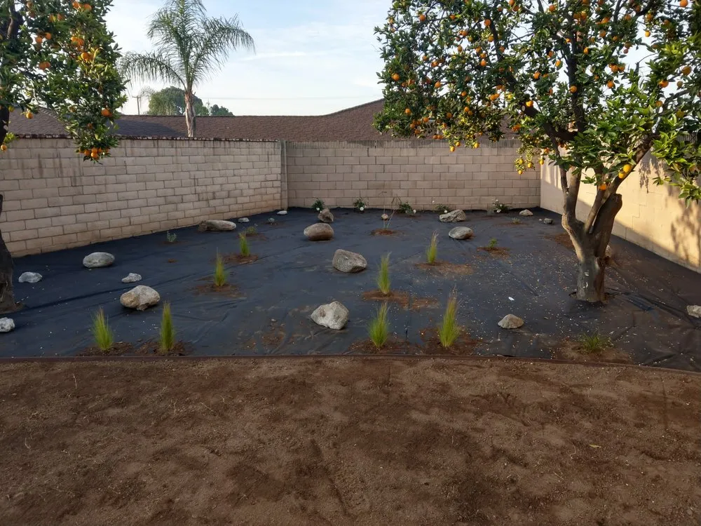 Local landscaping services experts serving Covina, CA - AL Lopez Landscaping