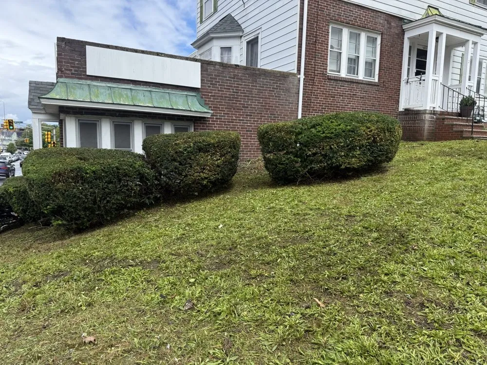 Custom lawn care service near you in Lynn, MA by A.L Masonry And Tree Services