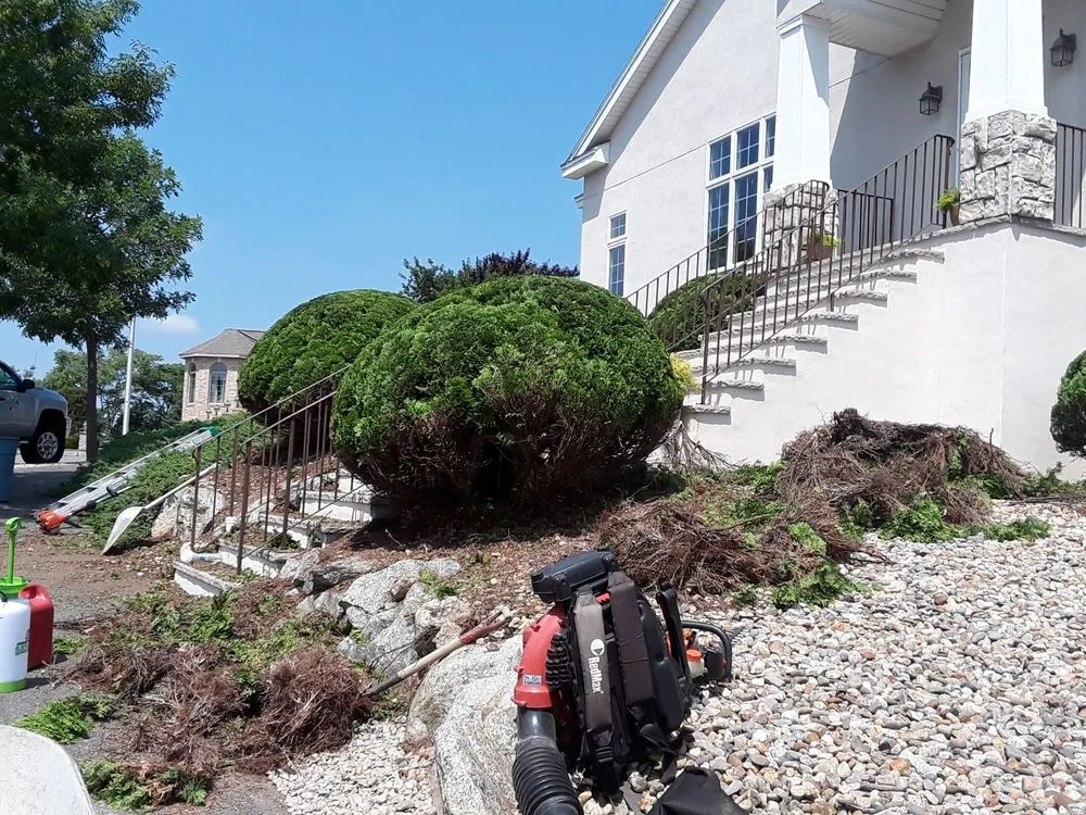 Reliable landscape installation in Lynn, MA by A.L Masonry And Tree Services