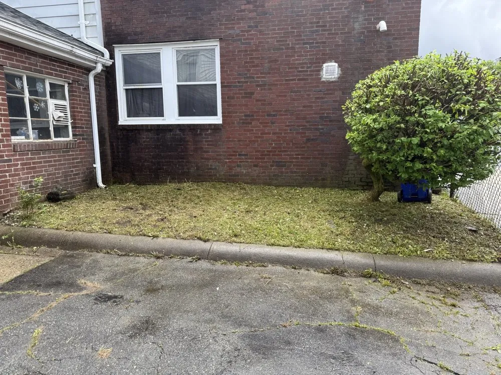 Local lawn care service in Lynn, MA by A.L Masonry And Tree Services