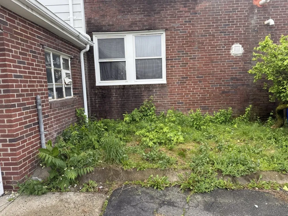 Trusted yard cleanup service in Lynn, MA by A.L Masonry And Tree Services