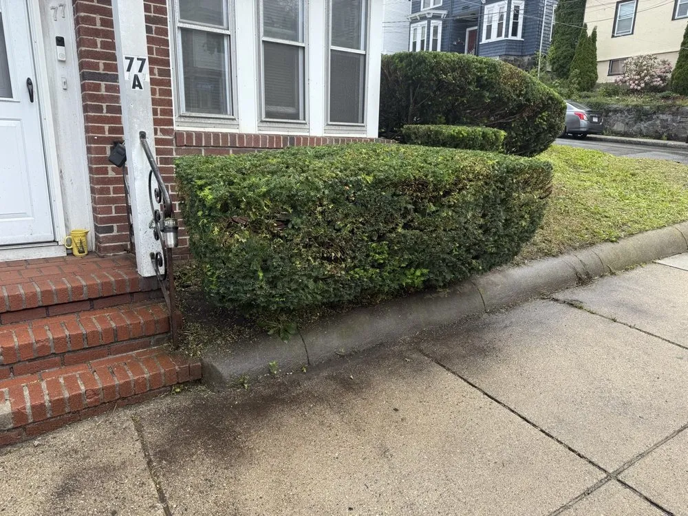 Reliable outdoor landscaping in Lynn, MA - A.L Masonry And Tree Services