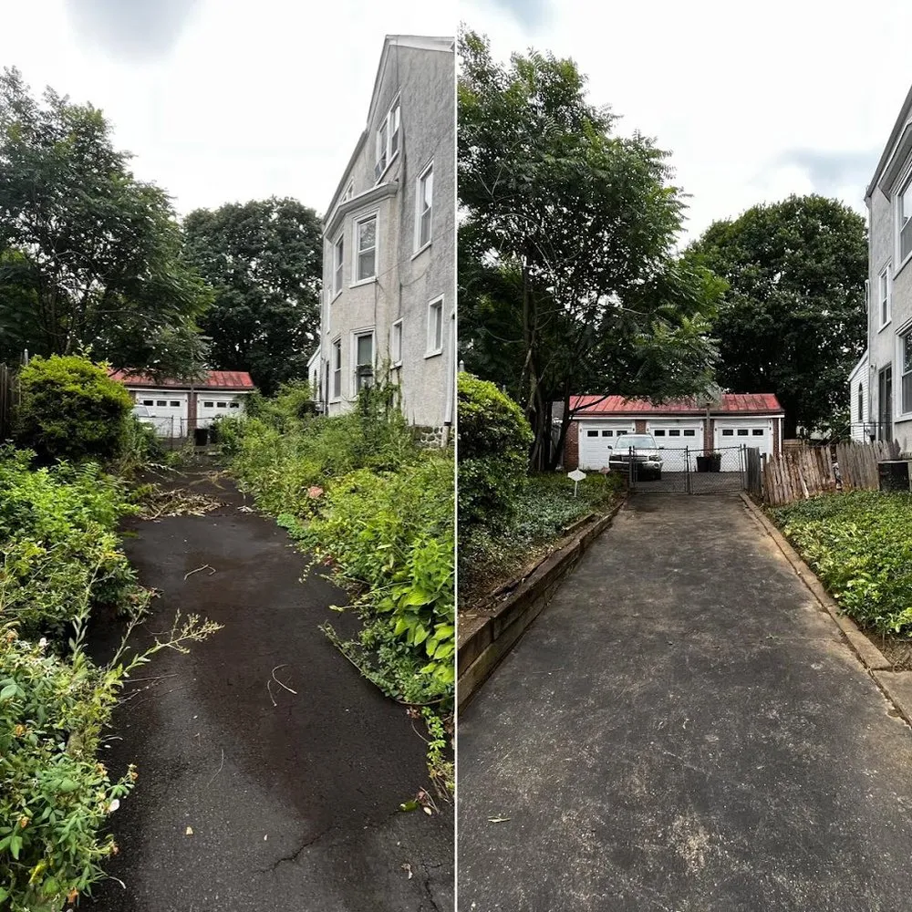 Affordable lawn care service for homes in Havertown, PA by Al Pezza Company