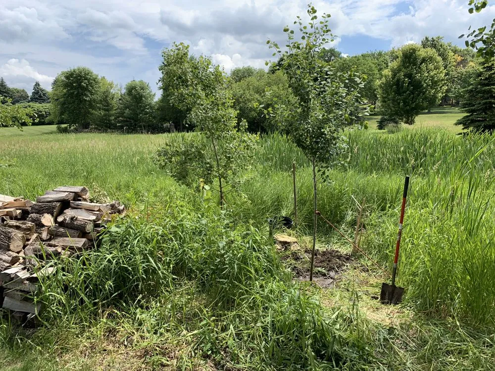 Trusted landscaping services experts serving Delano, MN - A&L Property Maintenance