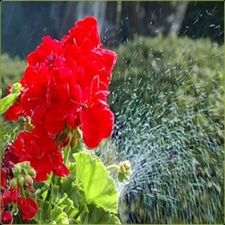 Reliable yard maintenance in Oregon City, OR by Al Sievers Sprinkler Service