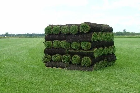 Custom landscaping services in Lino Lakes, MN by A&L Sod