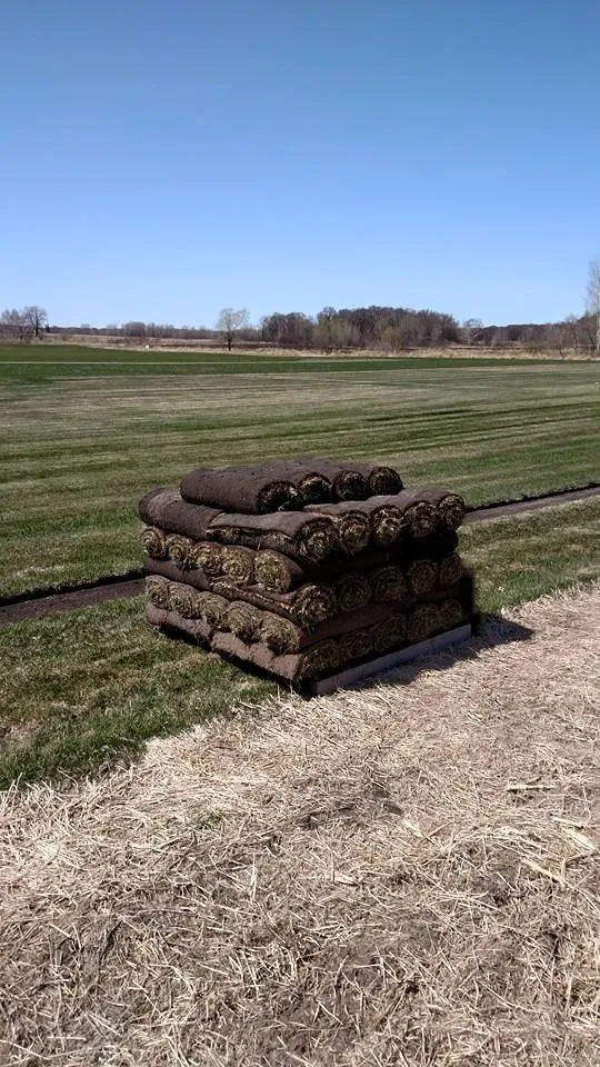 Top-rated lawn mowing service for beautiful yards across Lino Lakes, MN - A&L Sod