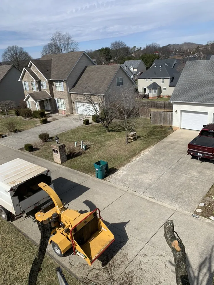 Top-rated landscape design experts serving Milton, WV - A&L Tree and landscaping