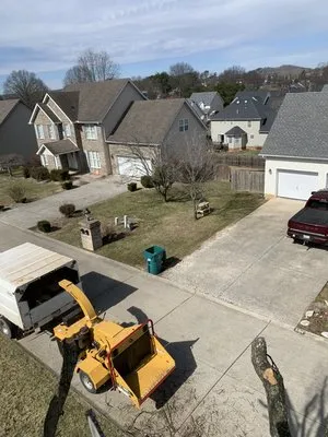 A&L Tree and landscaping