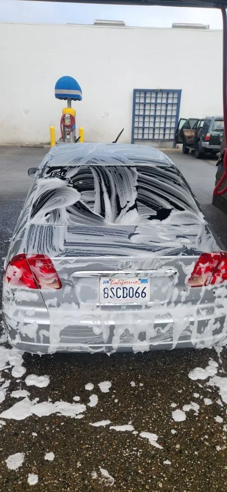 Local garden landscaping in Redwood City, CA by Al Tree Service And Landscaping