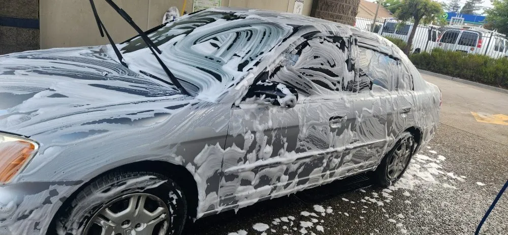 Affordable outdoor landscaping near you across Redwood City, CA - Al Tree Service And Landscaping