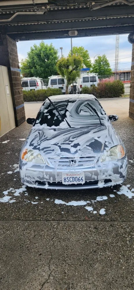 Top-rated lawn care service near you in Redwood City, CA by Al Tree Service And Landscaping