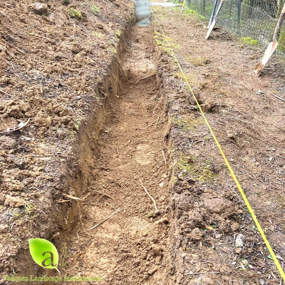 Trusted yard maintenance in Gresham, OR by Al Vazquez Landscape Maintenance