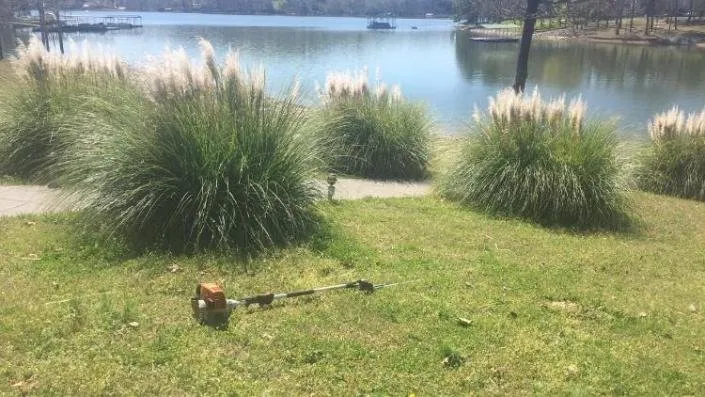Reliable yard cleanup service in Vinemont, AL - Alabama Dirt Worx