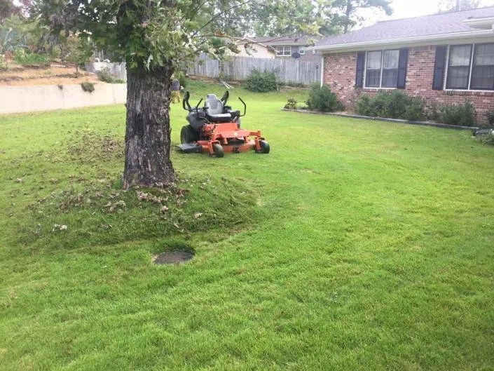 Top-rated landscape installation for year-round maintenance in Vinemont, AL by Alabama Dirt Worx
