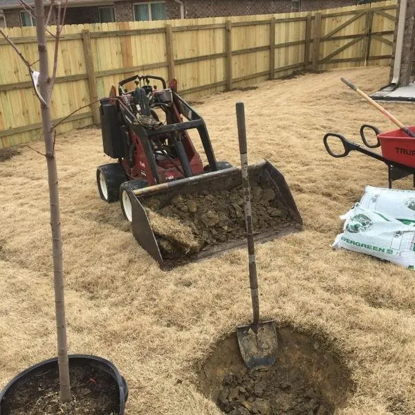 Trusted lawn care service experts serving Vinemont, AL - Alabama Dirt Worx