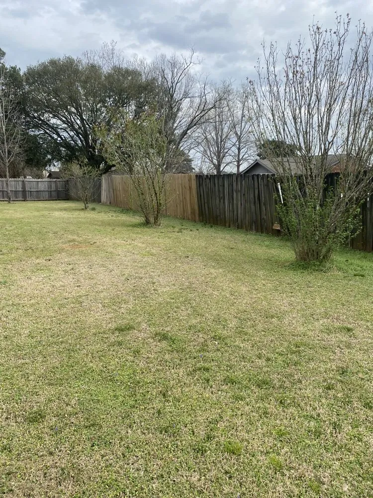 Local yard maintenance in Deatsville, AL by Alabama Exterior Restoration