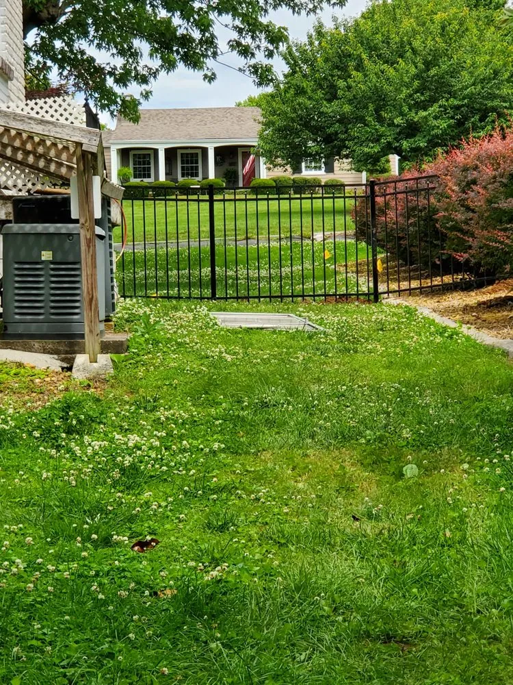 Professional lawn mowing service in Alexander City, AL - Alabama Fence And Landscape Contractors