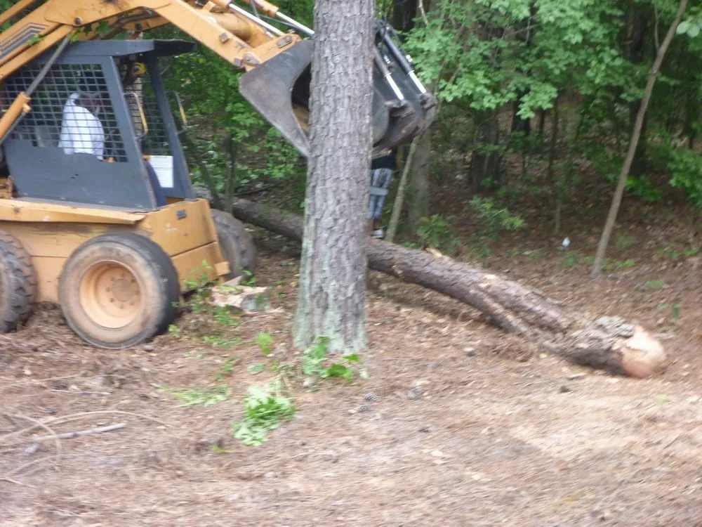 Custom landscape installation experts serving Peachtree City - Georgia, GA - Alabama Georgia Tree Service