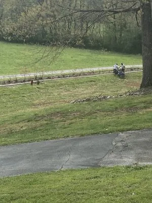 Alabama Landscape Curbing Logo