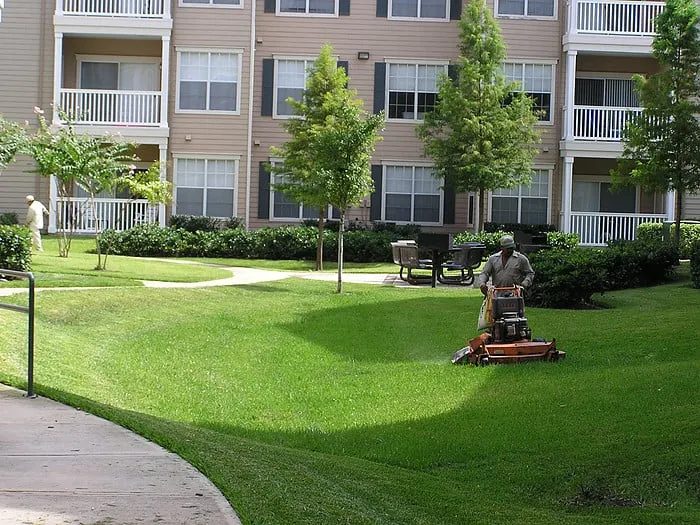 Top-rated yard cleanup service in Montgomery, AL - Alabama Lawn Care Experts