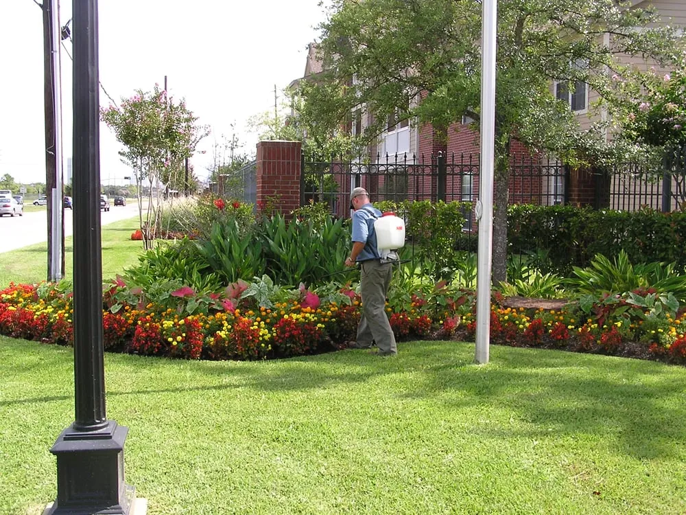 Expert landscape installation experts serving Montgomery, AL - Alabama Lawn Care Experts