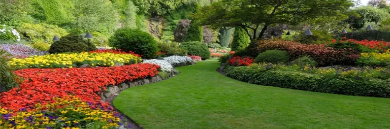 Top-rated landscape installation in Montgomery, AL by Alabama Lawn Care Experts