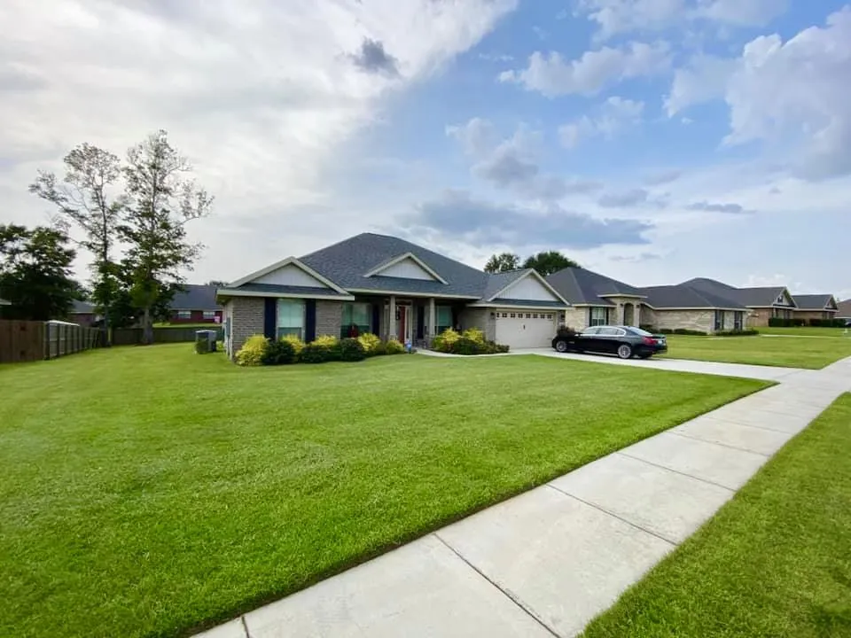 Expert yard cleanup service experts serving Semmes, AL - Alabama Lawn Care Pros