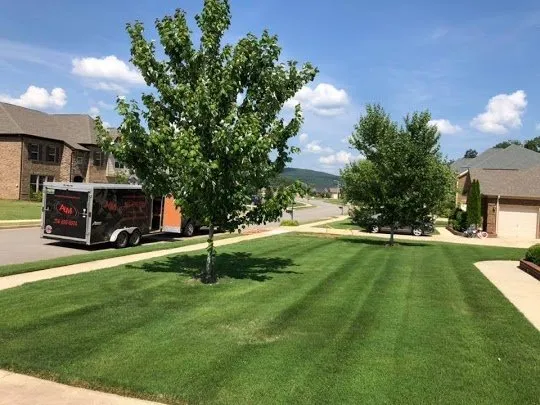 Top-rated residential landscaping in New Market, AL - Alabama Lawn Management